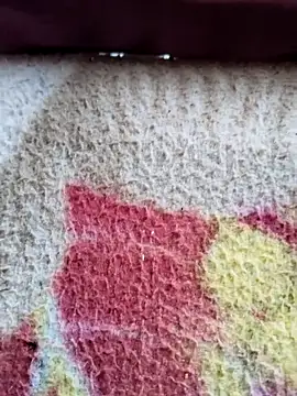 MAN MOHINI 21 online show from March 12, 2025, 6:07 am