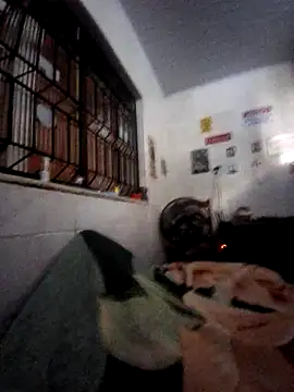 Snapshot of Zenfox24 chatting on February 20, 2026, 12:29 pm Zenfox24 online show from February 20, 2026, 12:29 pm