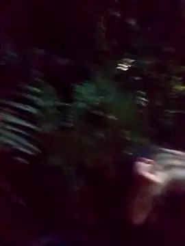 Snapshot of mis312 chatting on March 5, 2025, 2:36 am mis312 online show from March 5, 2025, 2:36 am