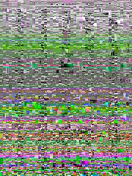 Snapshot of Wy1766 chatting on October 22, 2025, 9:24 pm Wy1766 online show from October 22, 2025, 9:24 pm