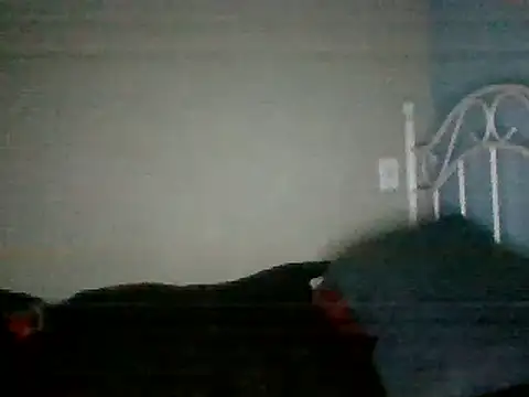 Snapshot of SmokingSloth chatting on March 16, 2025, 8:21 am SmokingSloth online show from March 16, 2025, 8:21 am