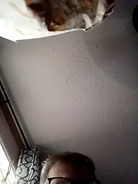 Snapshot of J83560Jason chatting on September 14, 2025, 10:54 pm J83560Jason online show from September 14, 2025, 10:54 pm