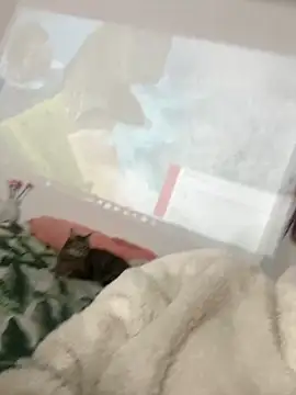 AnnyCherry  online show from March 6, 2026, 12:38 am