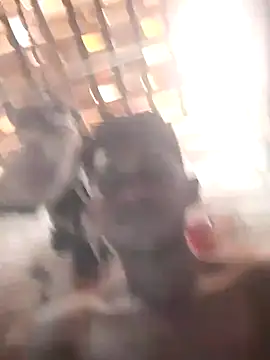 fudedor224 online show from March 6, 2025, 5:54 pm