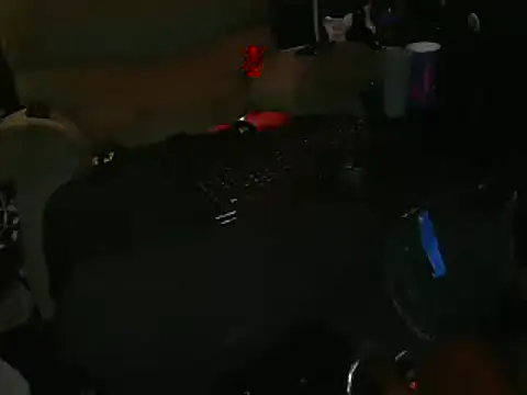 Snapshot of RM_Discov3ri3z chatting on December 9, 2024, 12:19 pm RM Discov3ri3z online show from December 9, 2024, 12:19 pm