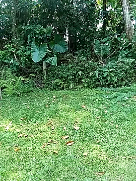 ruki anglelk online show from February 9, 2025, 6:01 am