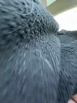 Giuliana baby online show from March 21, 2026, 9:36 am