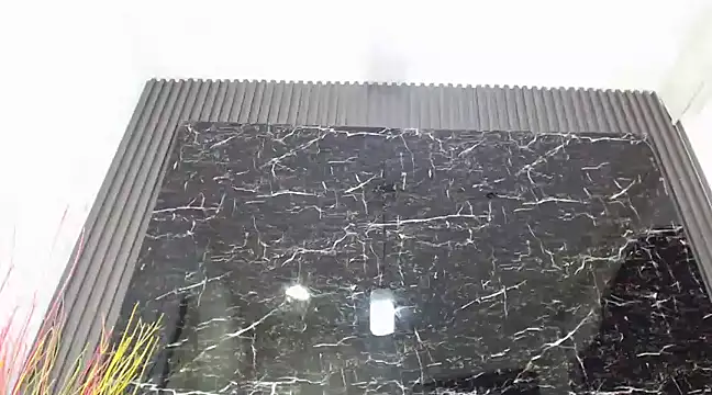 Snapshot of NalaRoy chatting on December 10, 2024, 11:54 am NalaRoy online show from December 10, 2024, 11:54 am