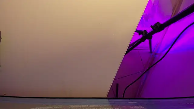 sarah  bigboobs online show from March 3, 2026, 3:35 am