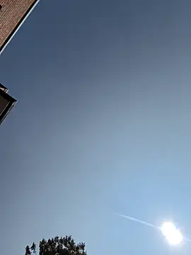 Snapshot of camdanz777 chatting on September 9, 2025, 4:27 pm camdanz777 online show from September 9, 2025, 4:27 pm