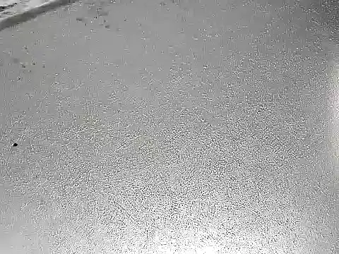 Snapshot of CafeCaliente69 chatting on December 6, 2024, 7:39 pm CafeCaliente69 online show from December 6, 2024, 7:39 pm