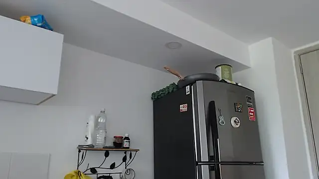 Snapshot of thomas_gun chatting on February 3, 2026, 3:28 pm thomas gun online show from February 3, 2026, 3:28 pm