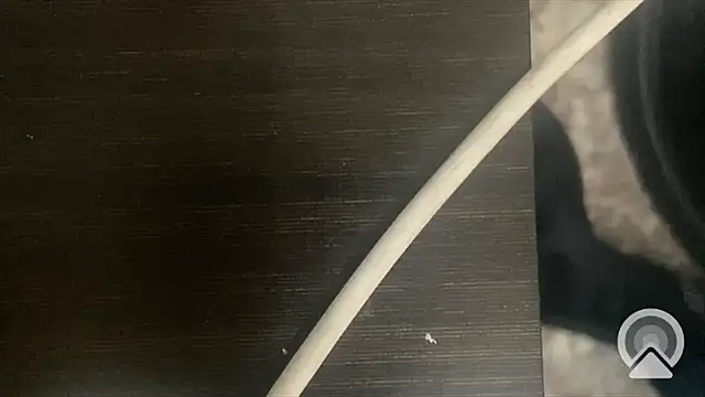 shuai321 online show from February 13, 2025, 7:56 am