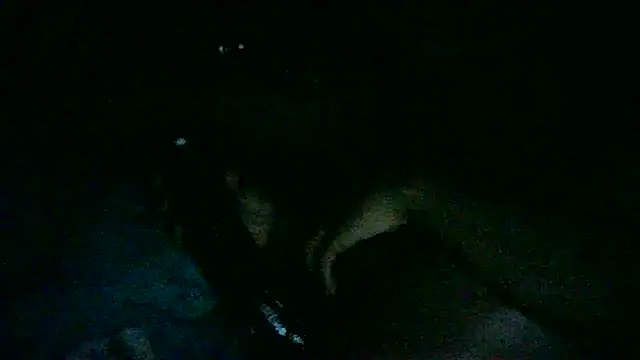 Snapshot of DI4MOND_FIR3 chatting on November 7, 2025, 9:58 am DI4MOND FIR3 online show from November 7, 2025, 9:58 am