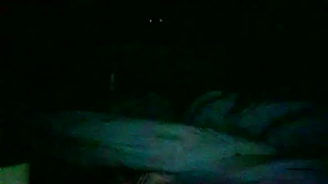 Snapshot of DI4MOND_FIR3 chatting on November 27, 2025, 12:27 pm DI4MOND FIR3 online show from November 27, 2025, 12:27 pm