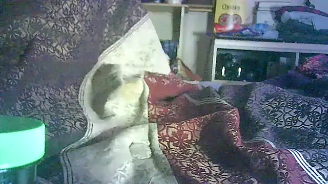 Snapshot of DI4MOND_FIR3 chatting on June 3, 2026, 2:33 pm DI4MOND FIR3 online show from June 3, 2026, 2:33 pm