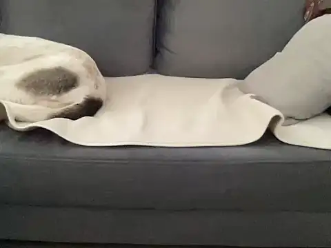 4small4inchlol online show from September 24, 2025, 7:26 am