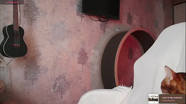 ms allison w online show from February 19, 2026, 11:29 am