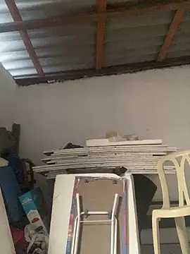 Charlotte Bradshaw online show from March 18, 2026, 3:13 pm