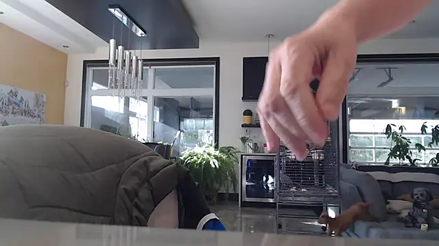 Snapshot of Toy-Daddy chatting on November 6, 2025, 6:45 pm Toy-Daddy online show from November 6, 2025, 6:45 pm