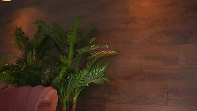 KairaAndrews online show from February 12, 2026, 7:57 pm