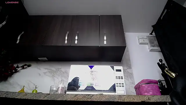 iniyalaboni online show from November 26, 2025, 8:20 pm