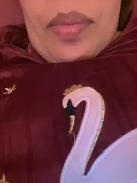 Samarr 9and online show from December 20, 2024, 2:26 pm