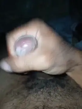 taylorWiiz online show from November 13, 2025, 4:49 am