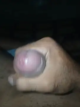 taylorWiiz online show from February 5, 2026, 6:31 am