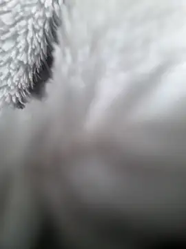 Snapshot of hungarian_dick chatting on January 31, 2025, 9:37 am hungarian dick online show from January 31, 2025, 9:37 am