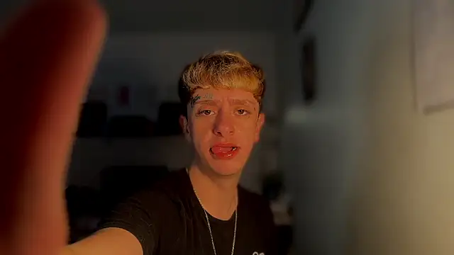 twentywithafelonyy online show from March 14, 2025, 3:36 pm