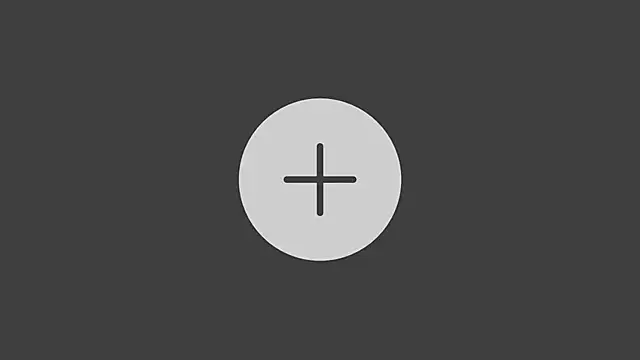 StellarTeam online show from December 21, 2024, 7:49 pm