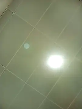 juanpr 1-15 online show from November 22, 2025, 8:51 pm