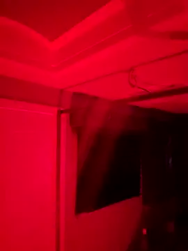 Cobra500hp online show from March 16, 2026, 2:41 am