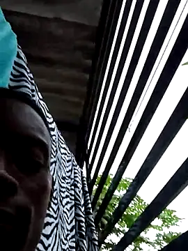 Snapshot of BeetledFlouter12 chatting on December 17, 2025, 9:42 pm BeetledFlouter12 online show from December 17, 2025, 9:42 pm