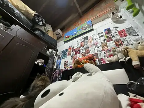 dafne19  online show from February 26, 2026, 4:12 am