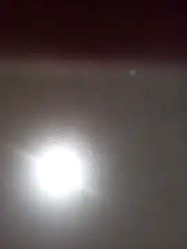 ambarlennoix online show from March 13, 2025, 11:51 am