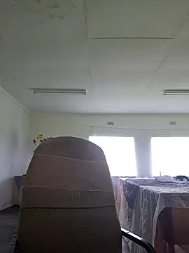 bull Giant online show from February 11, 2025, 12:15 pm