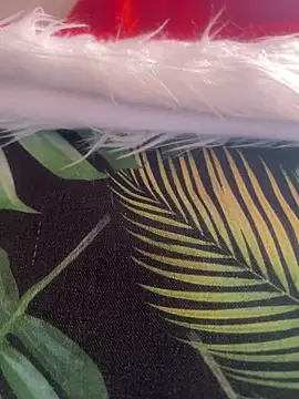 Snapshot of alexatransgata chatting on December 3, 2025, 3:55 pm alexatransgata online show from December 3, 2025, 3:55 pm