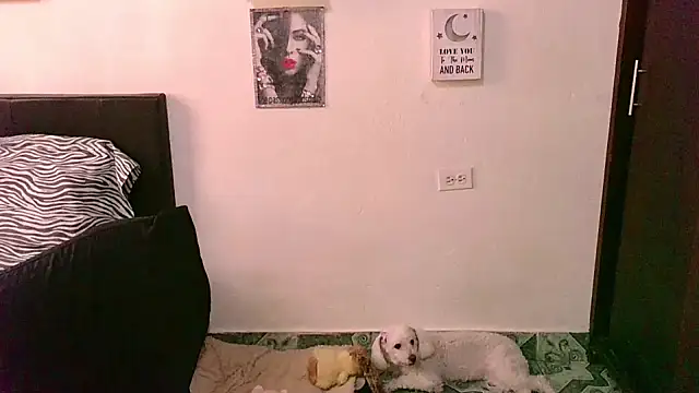 Snapshot of zaray_bella chatting on September 24, 2025, 8:37 pm zaray bella online show from September 24, 2025, 8:37 pm