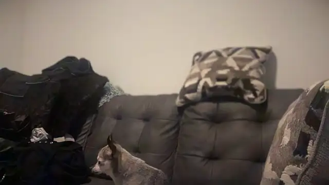 Snapshot of RavenRayyy chatting on October 22, 2025, 4:34 am RavenRayyy online show from October 22, 2025, 4:34 am