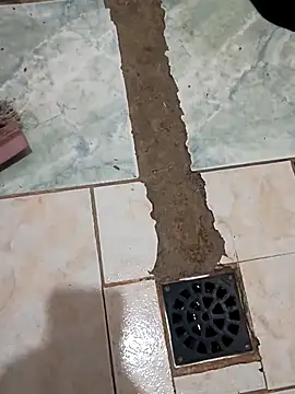 SoloHernan online show from February 16, 2025, 10:33 pm