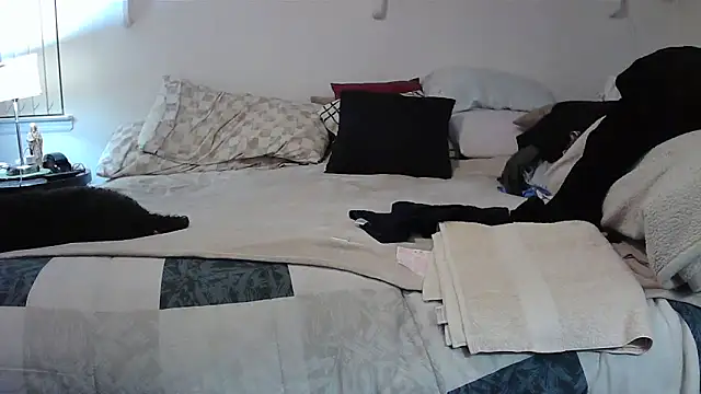 Hand69someguy online show from November 2, 2025, 2:49 am