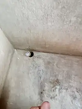 900irani online show from December 10, 2024, 7:47 am