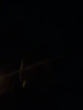 big cock is back online show from March 1, 2026, 7:25 pm