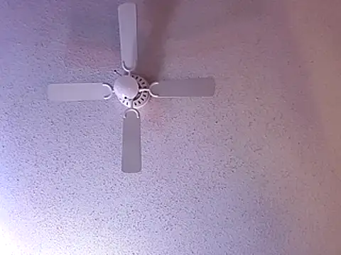 big8dall online show from December 20, 2025, 6:27 am