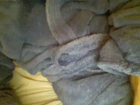 Ariete80s online show from February 23, 2025, 6:56 pm