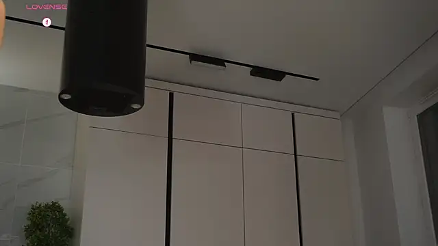 hecola online show from November 11, 2025, 2:23 pm