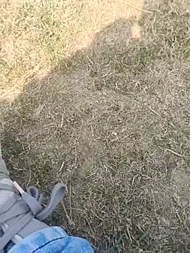 Gururonny07 online show from February 19, 2025, 7:28 am