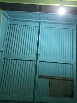 islandvybee55 online show from February 5, 2026, 3:57 am